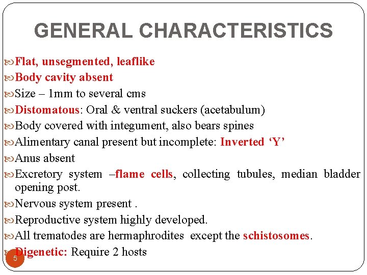 GENERAL CHARACTERISTICS Flat, unsegmented, leaflike Body cavity absent Size – 1 mm to several