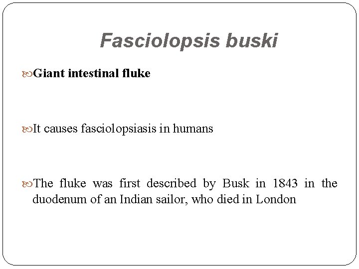 Fasciolopsis buski Giant intestinal fluke It causes fasciolopsiasis in humans The fluke was first