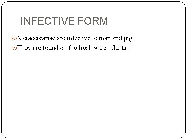 INFECTIVE FORM Metacercariae are infective to man and pig. They are found on the