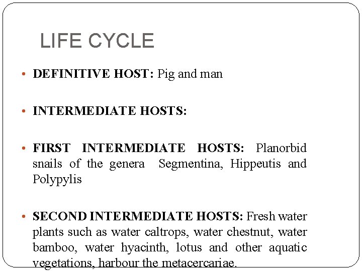 LIFE CYCLE • DEFINITIVE HOST: Pig and man • INTERMEDIATE HOSTS: • FIRST INTERMEDIATE