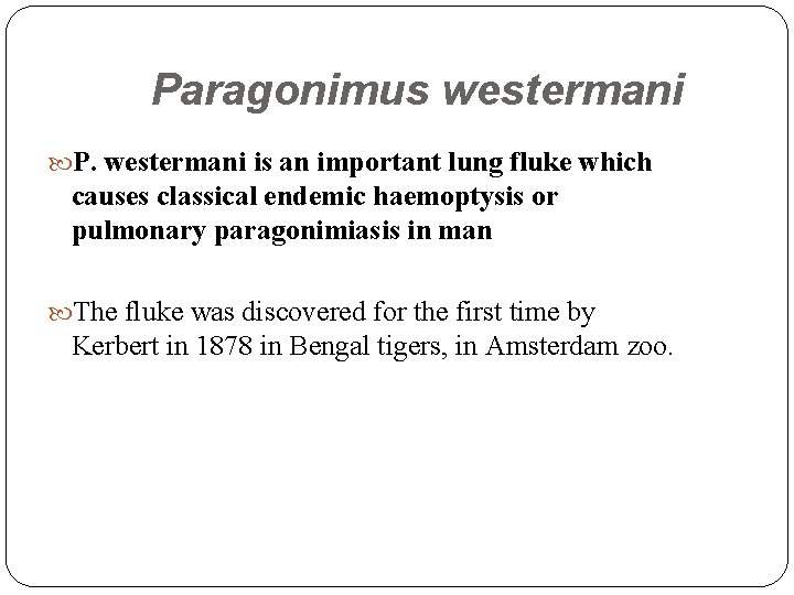 Paragonimus westermani P. westermani is an important lung fluke which causes classical endemic haemoptysis