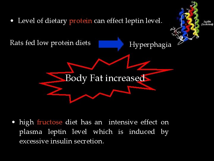  • Level of dietary protein can effect leptin level. Rats fed low protein