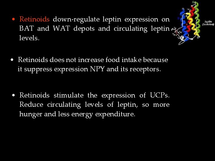  • Retinoids down-regulate leptin expression on BAT and WAT depots and circulating leptin
