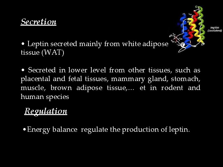 Secretion • Leptin secreted mainly from white adipose tissue (WAT) • Secreted in lower