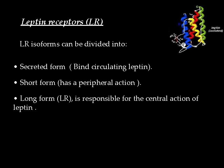 Leptin receptors (LR) LR isoforms can be divided into: • Secreted form ( Bind