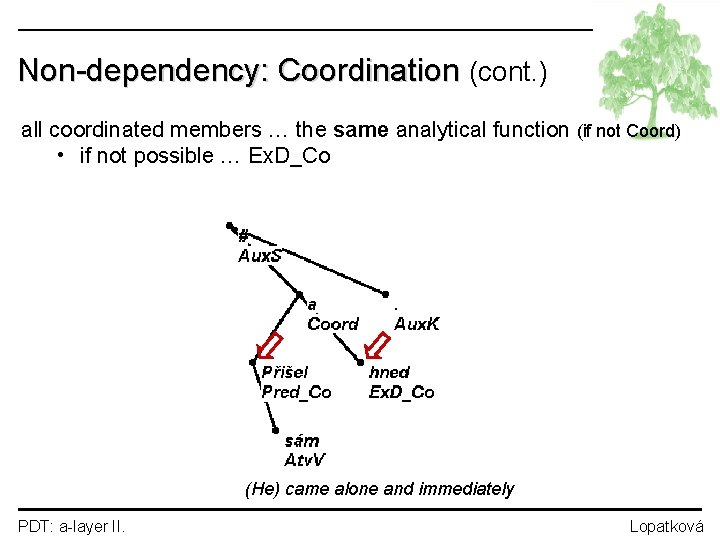 Non-dependency: Coordination (cont. ) all coordinated members … the same analytical function (if not
