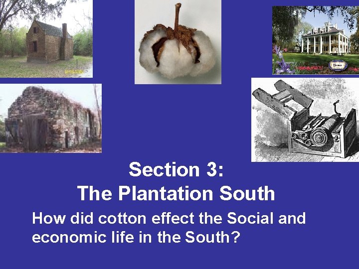 Section 3: The Plantation South How did cotton effect the Social and economic life