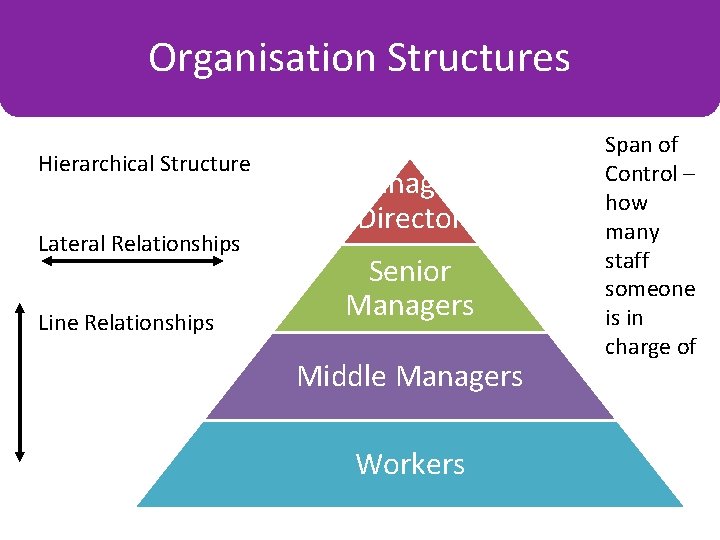 Organisation Structures Charts Hierarchical Structure Lateral Relationships Line Relationships Managing Director Senior Managers Middle
