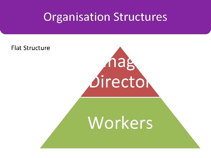 Organisation Structures Charts Flat Structure Managing Director Workers 