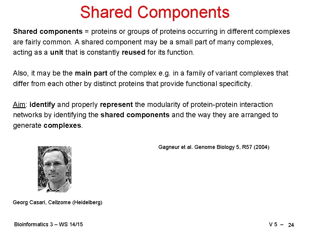 Shared Components Shared components = proteins or groups of proteins occurring in different complexes