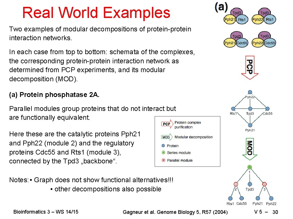 Real World Examples Two examples of modular decompositions of protein-protein interaction networks. In each