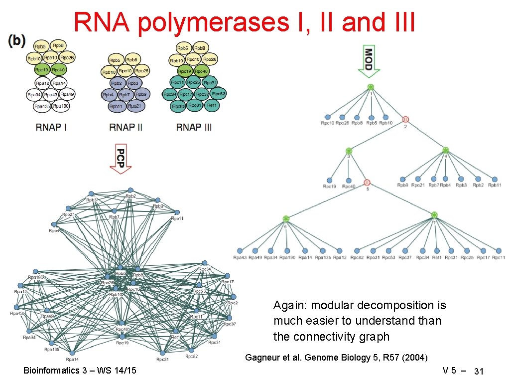 RNA polymerases I, II and III Again: modular decomposition is much easier to understand