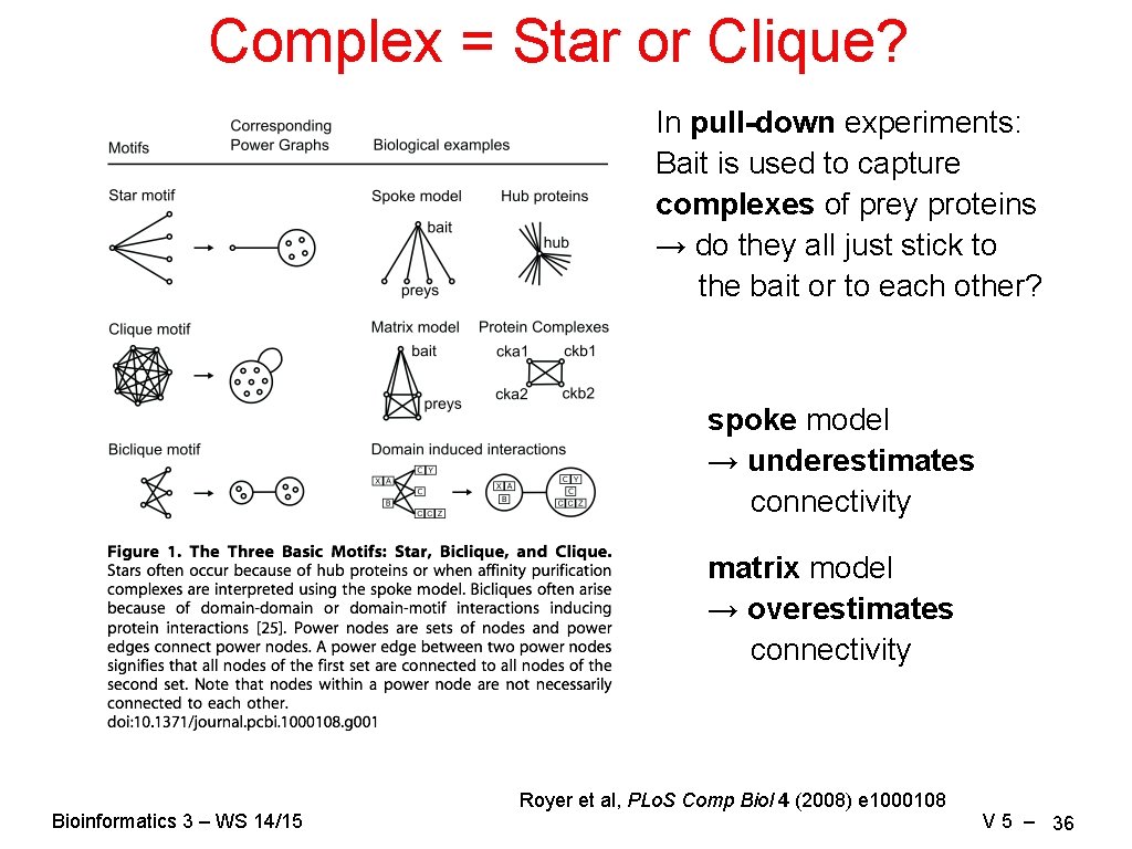 Complex = Star or Clique? In pull-down experiments: Bait is used to capture complexes