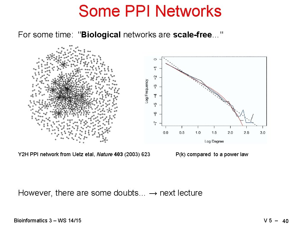 Some PPI Networks For some time: "Biological networks are scale-free…" Y 2 H PPI
