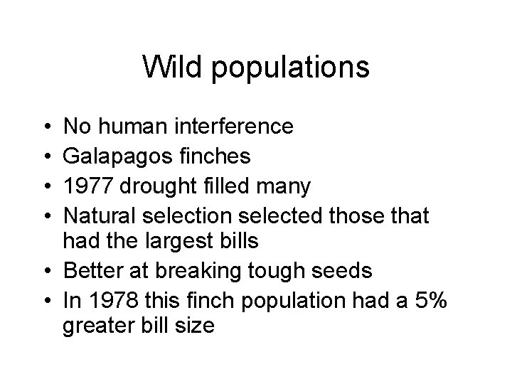 Wild populations • • No human interference Galapagos finches 1977 drought filled many Natural