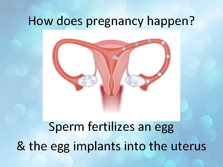 How does pregnancy happen? Sperm fertilizes an egg & the egg implants into the