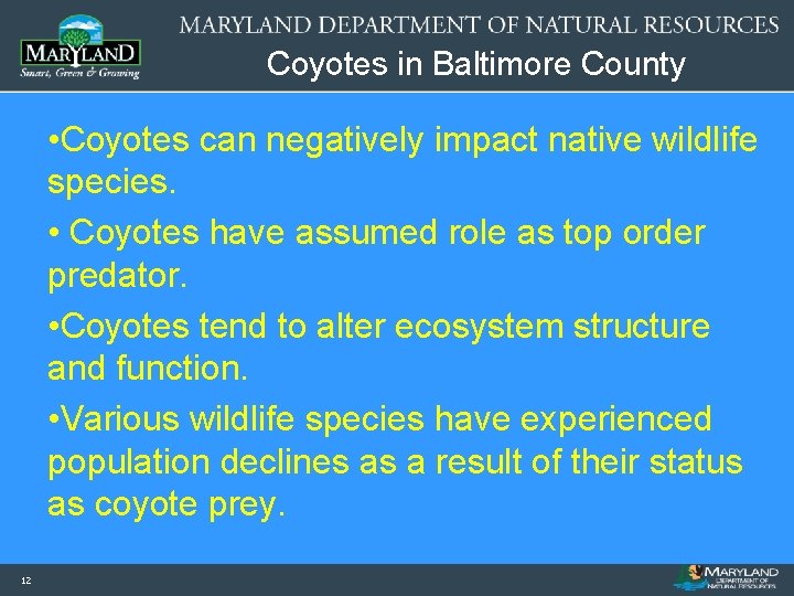 Coyotes in Baltimore County • Coyotes can negatively impact native wildlife species. • Coyotes