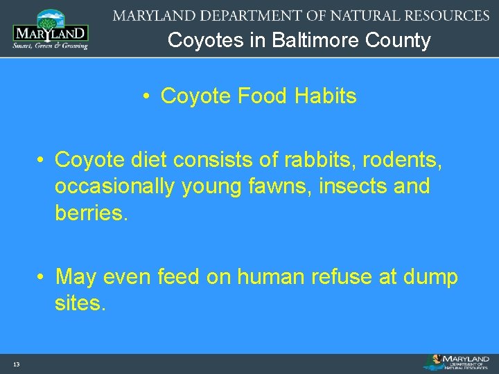 Coyotes in Baltimore County • Coyote Food Habits • Coyote diet consists of rabbits,