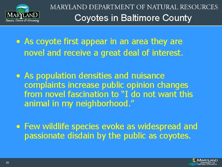 Coyotes in Baltimore County • As coyote first appear in an area they are