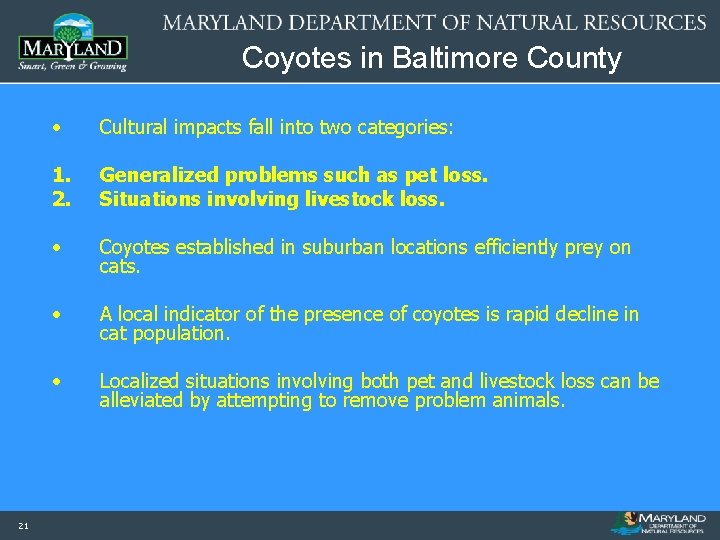Coyotes in Baltimore County 21 • Cultural impacts fall into two categories: 1. 2.