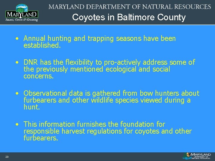 Coyotes in Baltimore County • Annual hunting and trapping seasons have been established. •