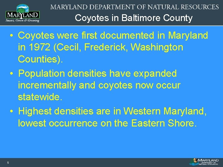 Coyotes in Baltimore County • Coyotes were first documented in Maryland in 1972 (Cecil,