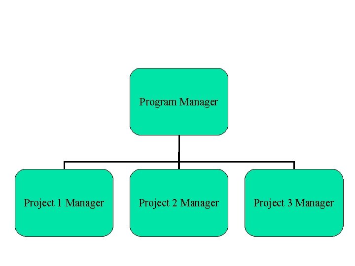 Program Manager Project 1 Manager Project 2 Manager Project 3 Manager 