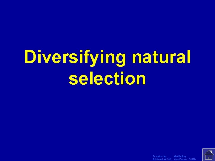 Diversifying natural selection Template by Modified by Bill Arcuri, WCSD Chad Vance, CCISD Diversifying natural selection Template by Modified by Bill Arcuri, WCSD Chad Vance, CCISD