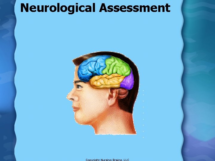 Neurological Assessment 