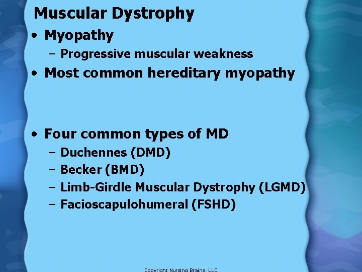 Muscular Dystrophy • Myopathy – Progressive muscular weakness • Most common hereditary myopathy •