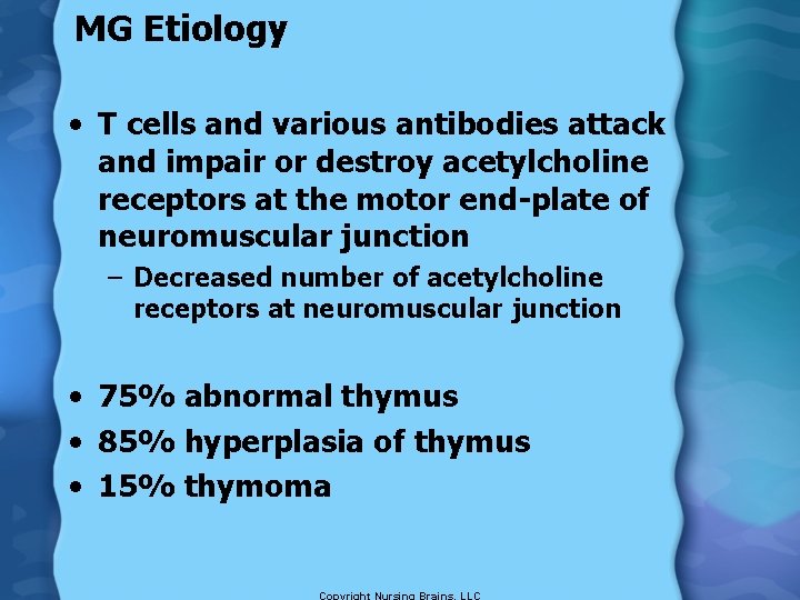 MG Etiology • T cells and various antibodies attack and impair or destroy acetylcholine