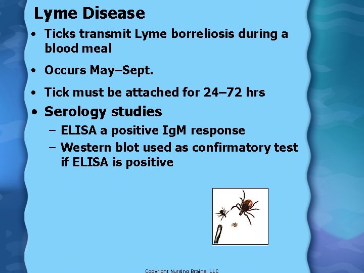 Lyme Disease • Ticks transmit Lyme borreliosis during a blood meal • Occurs May–Sept.