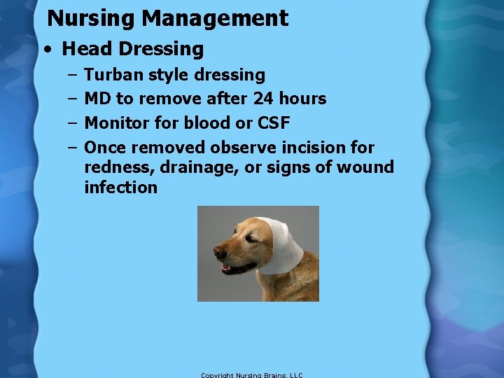 Nursing Management • Head Dressing – – Turban style dressing MD to remove after
