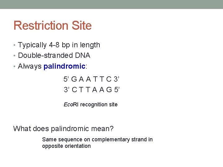 Restriction Site • Typically 4 -8 bp in length • Double-stranded DNA • Always