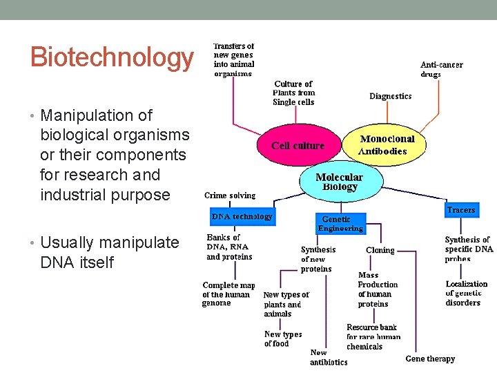 Biotechnology • Manipulation of biological organisms or their components for research and industrial purpose