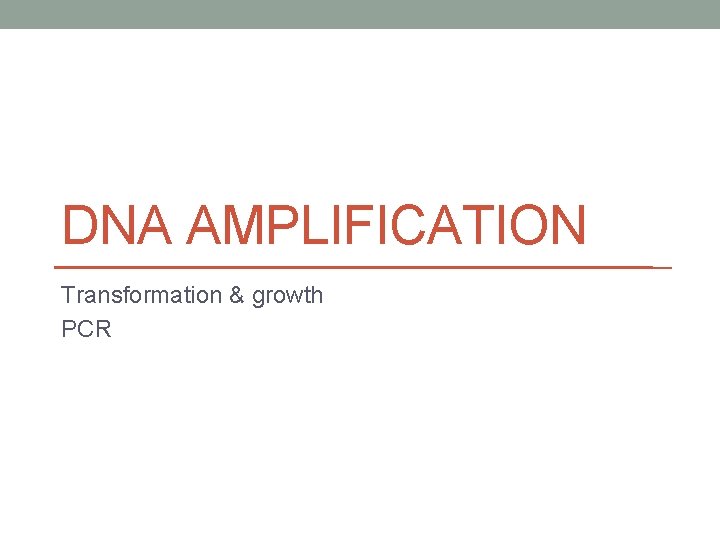 DNA AMPLIFICATION Transformation & growth PCR 