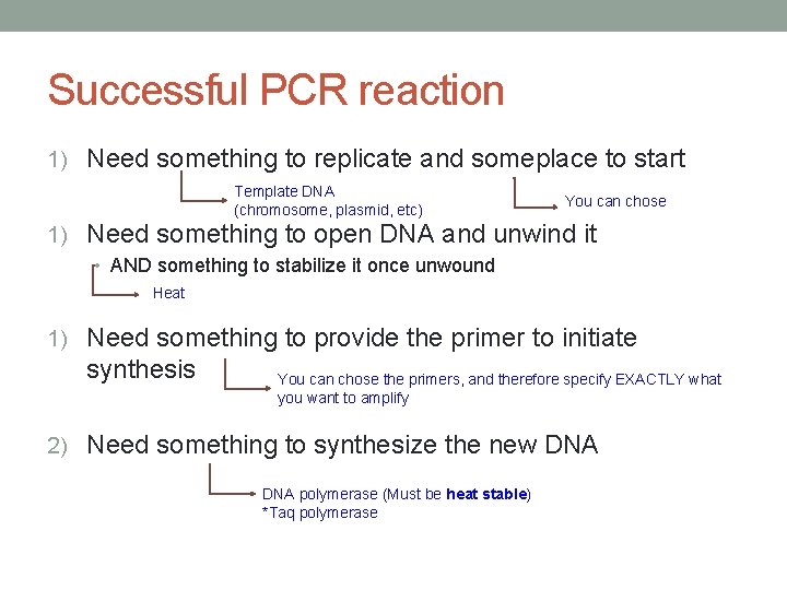 Successful PCR reaction 1) Need something to replicate and someplace to start Template DNA