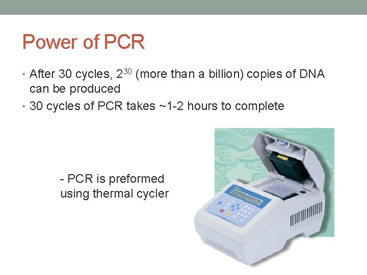 Power of PCR • After 30 cycles, 230 (more than a billion) copies of