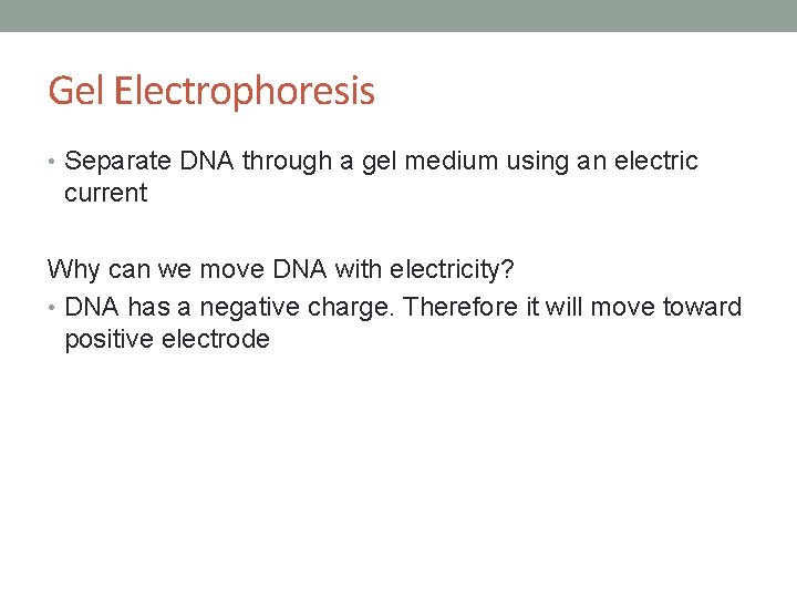 Gel Electrophoresis • Separate DNA through a gel medium using an electric current Why