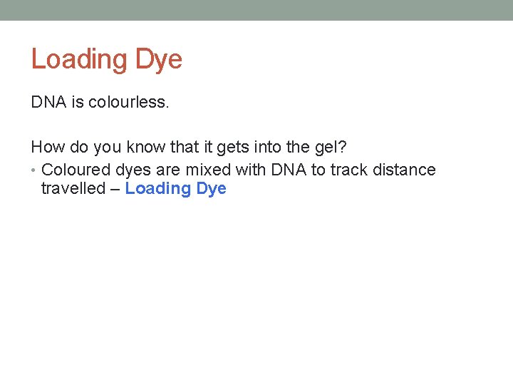 Loading Dye DNA is colourless. How do you know that it gets into the