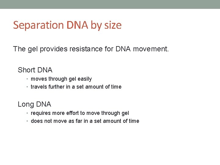 Separation DNA by size The gel provides resistance for DNA movement. Short DNA •