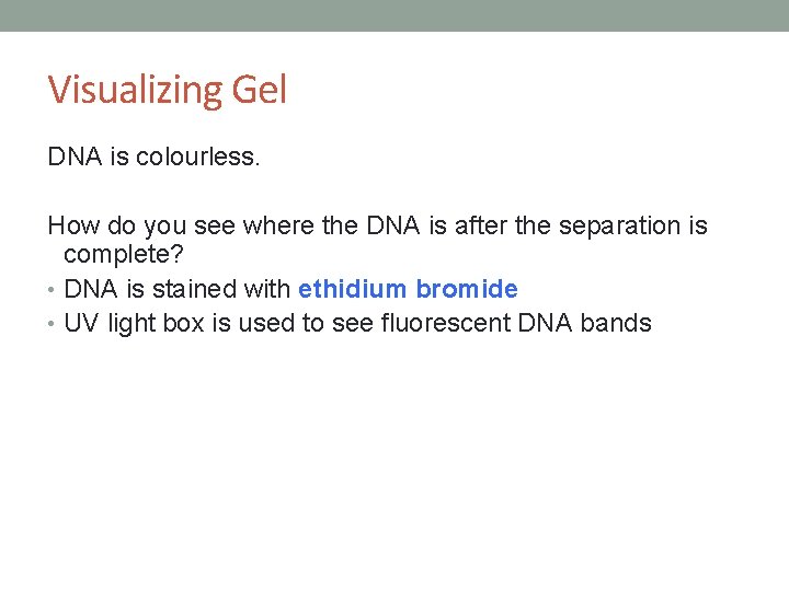 Visualizing Gel DNA is colourless. How do you see where the DNA is after