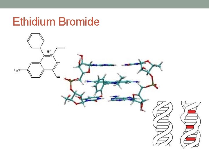 Ethidium Bromide 