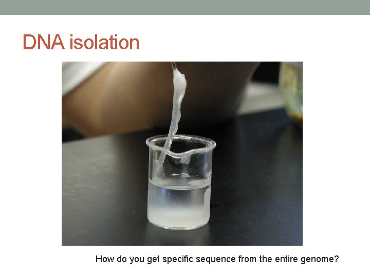 DNA isolation How do you get specific sequence from the entire genome? 