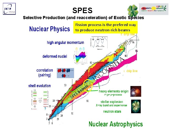 SPES Selective Production (and reacceleration) of Exotic Species Fission process is the prefered way