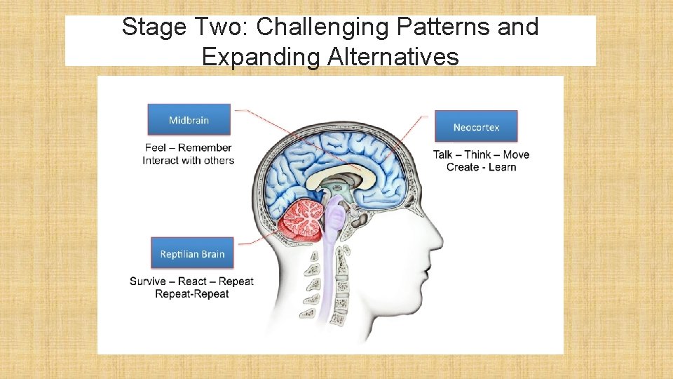 Stage Two: Challenging Patterns and Expanding Alternatives 