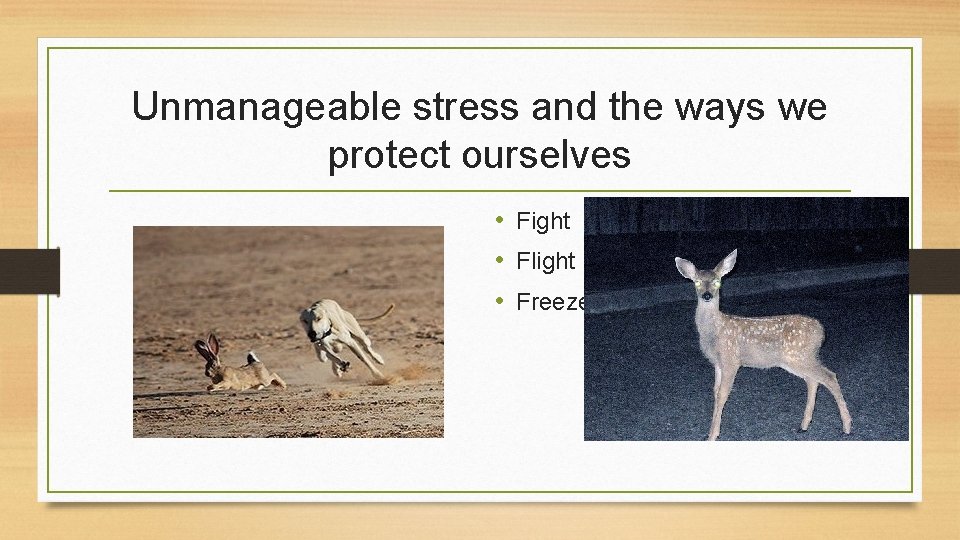 Unmanageable stress and the ways we protect ourselves • Fight • Flight • Freeze