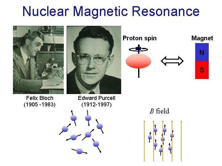 Nuclear Magnetic Resonance Proton spin Magnet N S Felix Bloch (1905 -1983) Edward Purcell