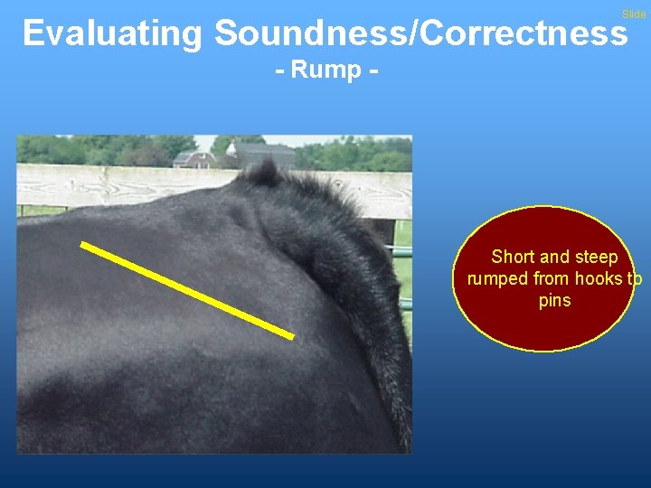 Slide 1 Evaluating Soundness/Correctness - Rump - Short and steep rumped from hooks to