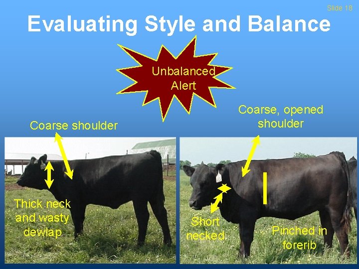 Slide 18 Evaluating Style and Balance Unbalanced Alert Coarse, opened shoulder Coarse shoulder Thick